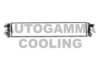 AUTOGAMMA 107419 Radiator, engine cooling